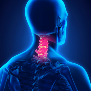 cervical spine