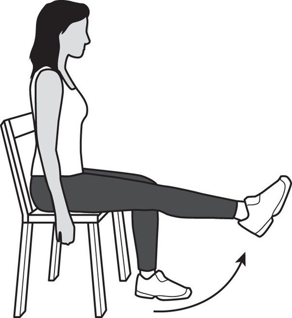 Seated Knee Extensions